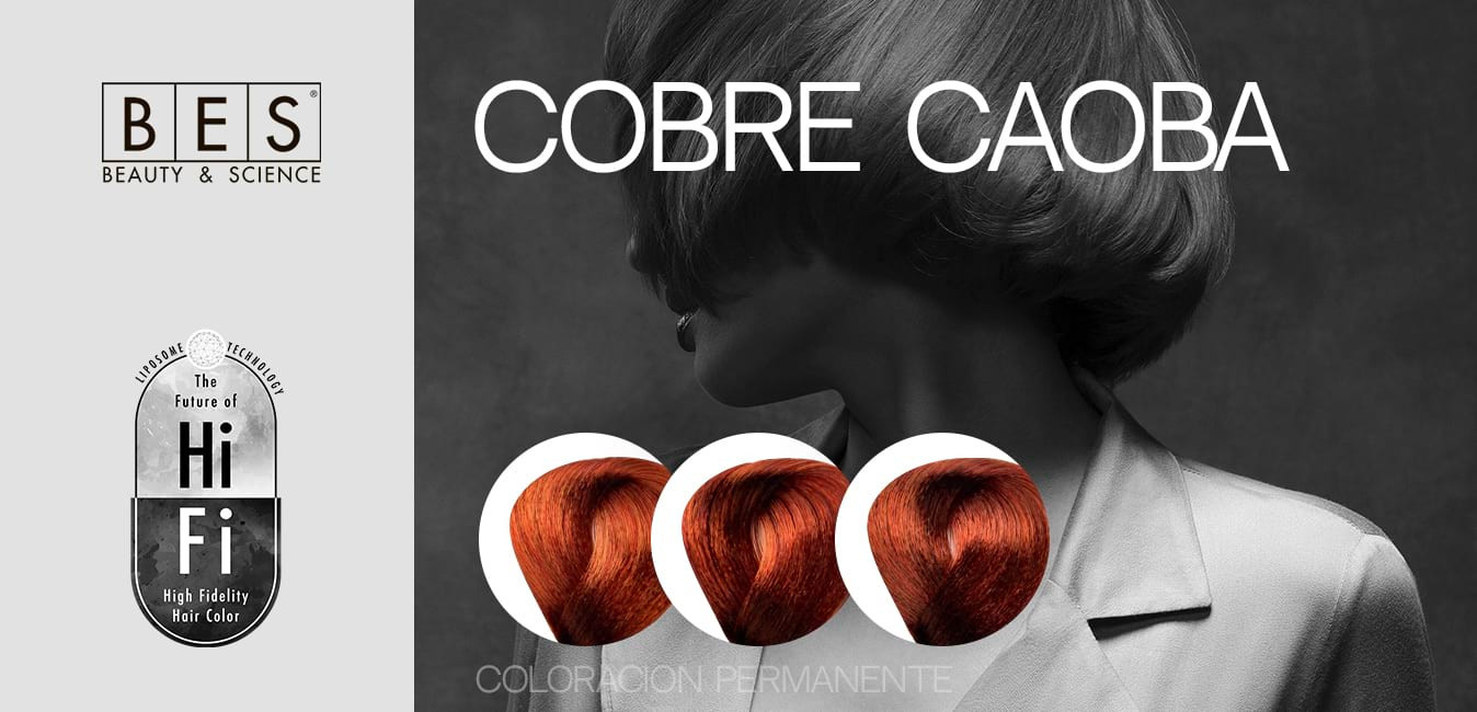 Copper Mahogany Hair Colors • BES Hi-Fi
