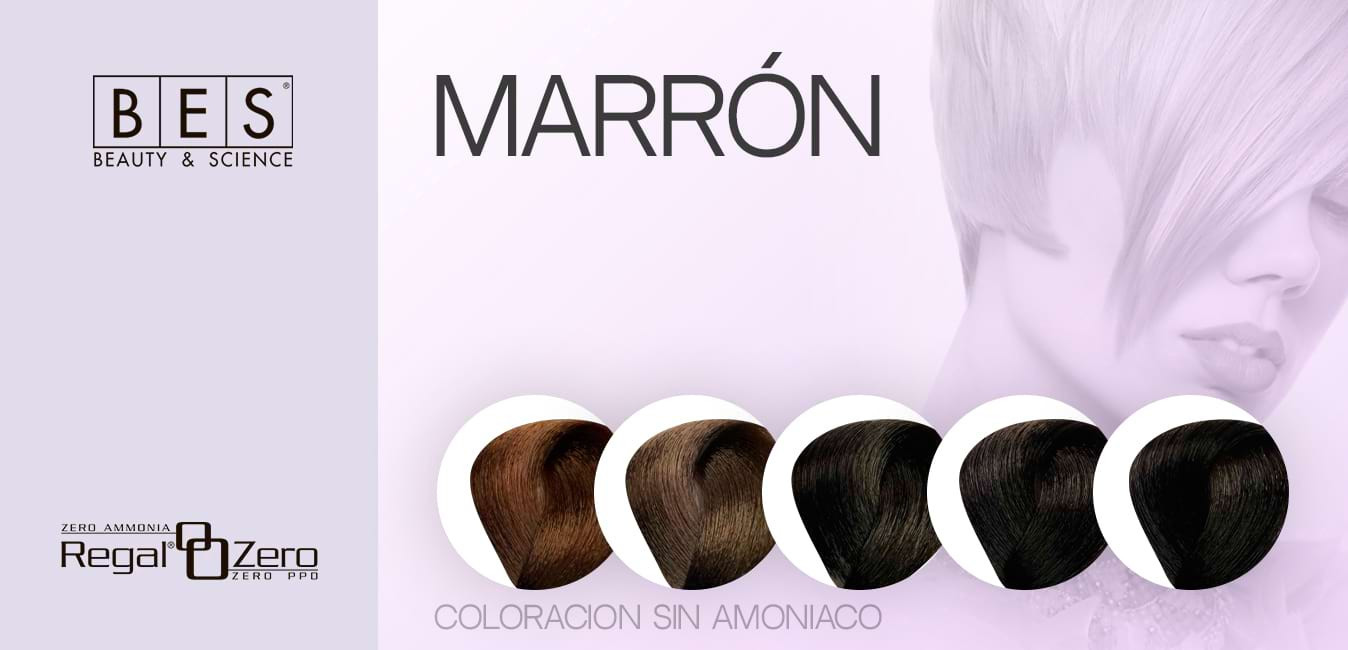 Ammonia-Free Brown Hair Dye • BES Regal Zero